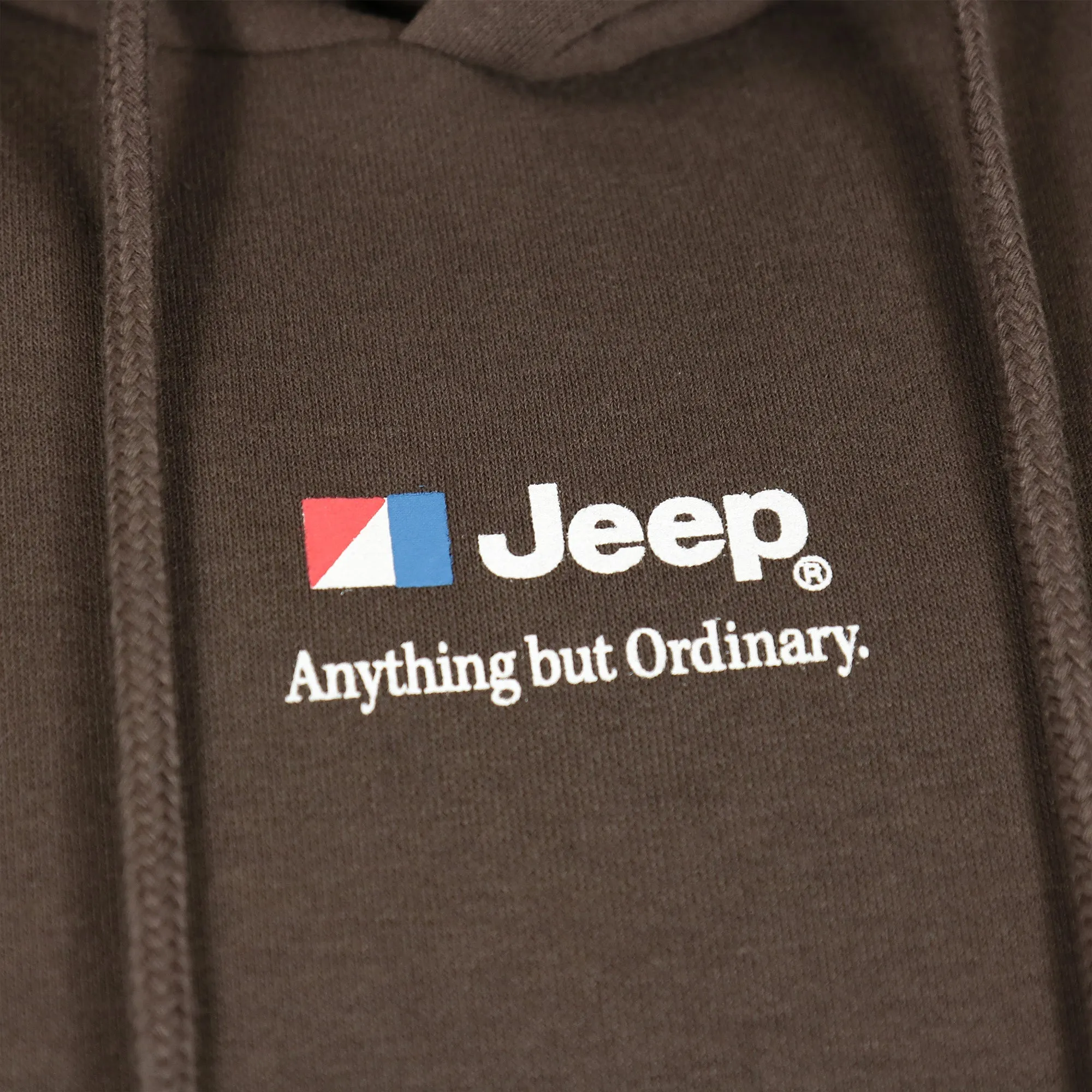 Jeep Laredo Seal Brown Vintage Graphic Hoodie | Jack & Jones Jeep Pullover Hoodie