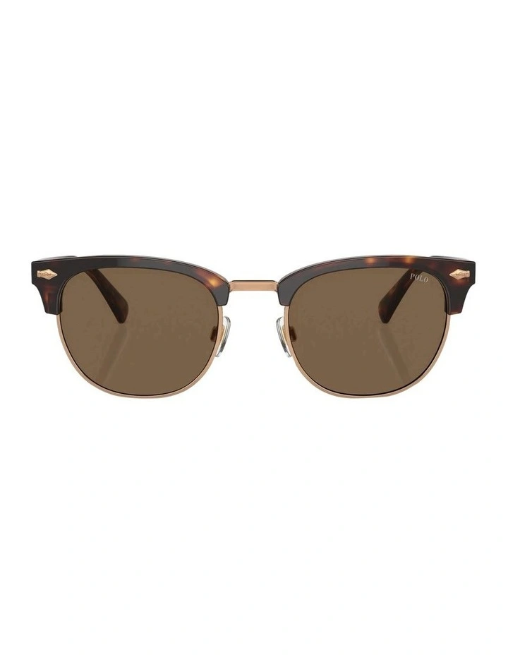 PH4217 Sunglasses in Tortoise