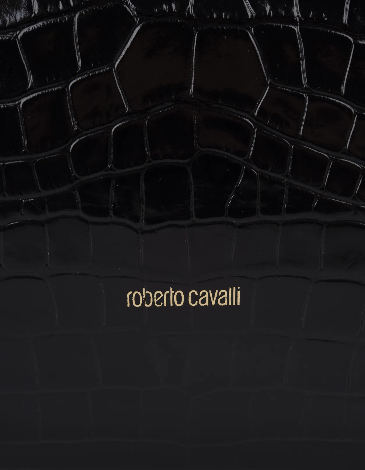 ROBERTO CAVALLI Roar Shoulder Bag In Black Leather