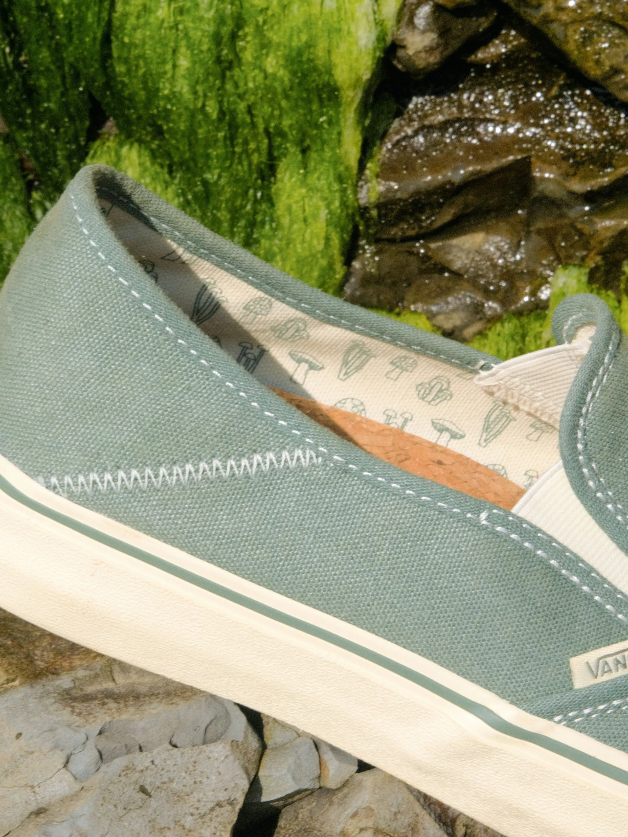 Vans / Mollusk Slip-Ons SF