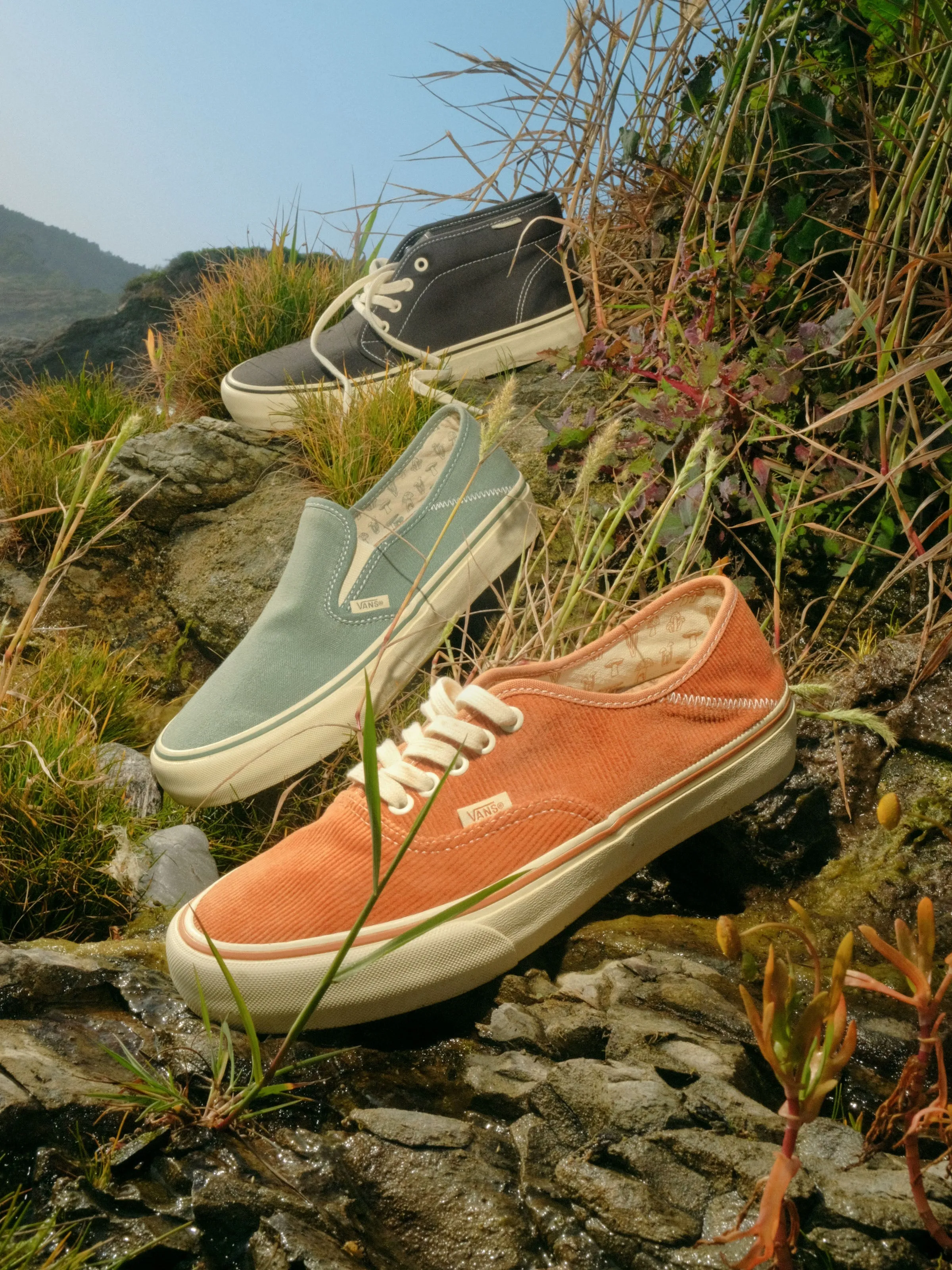 Vans / Mollusk Slip-Ons SF